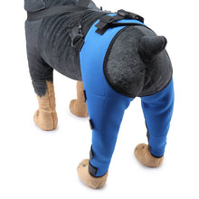 Load image into Gallery viewer, HiFuzzyPet Adjustable Rear Dog Leg Brace