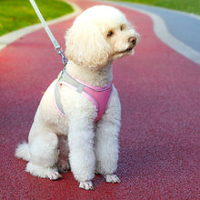 Load image into Gallery viewer, HiFuzzyPet Summer Vest Style Cat Harness and Leash Set