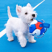 Load image into Gallery viewer, HiFuzzypet Dog Toy Rebound Balls with Hand, Pet Ufo Magic Ball