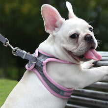 Load image into Gallery viewer, HiFuzzyPet Summer Vest Style Cat Harness and Leash Set