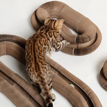 Load image into Gallery viewer, HiFuzzyPet Magic Organ Cat Scratching Toy Board-2 Pcs