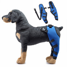 Load image into Gallery viewer, HiFuzzyPet Adjustable Rear Dog Leg Brace