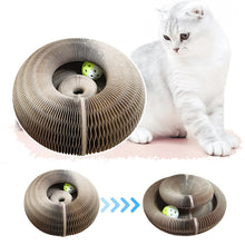 Load image into Gallery viewer, HiFuzzyPet Magic Organ Cat Scratching Toy Board-2 Pcs