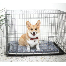 Load image into Gallery viewer, HiFuzzyPet Cozy Blanket For Cats, Puppy Crate Mat