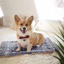 Load image into Gallery viewer, HiFuzzyPet Cozy Blanket For Cats, Puppy Crate Mat