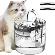 Load image into Gallery viewer, HiFuzzyPet Cat Fountain Pet Dog Water Dispenser