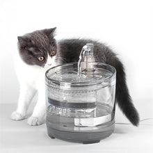 Load image into Gallery viewer, HiFuzzyPet Cat Fountain Pet Dog Water Dispenser
