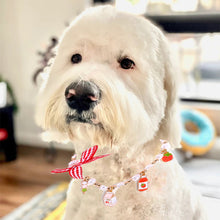 Load image into Gallery viewer, HifuzzyPet Pearls Dog Collar For Pets Wedding Birthday Party