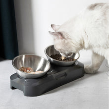 Load image into Gallery viewer, HiFuzzyPet Stainless Steel Elevated Cat Food Bowl