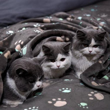 Load image into Gallery viewer, HiFuzzyPet Soft Flannel Large Dog Blanket