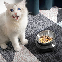 Load image into Gallery viewer, HiFuzzyPet Stainless Steel Elevated Cat Food Bowl