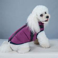 Load image into Gallery viewer, HiFuzzyPet Waterproof Dog Vest Winter Coat Warm