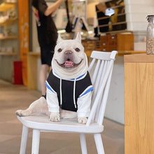 Load image into Gallery viewer, HiFuzzyPet Stitching Dog Hoodie Fake Two Pieces