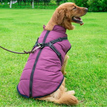 Load image into Gallery viewer, HiFuzzyPet Waterproof Dog Vest Winter Coat Warm