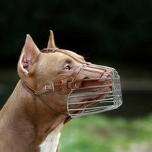 Load image into Gallery viewer, HiFuzzyPet Metal Dog Muzzle, Mouth Cover for Dogs Biting for Pant