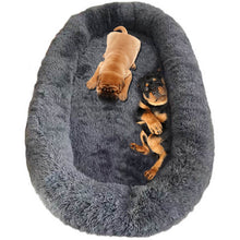 Load image into Gallery viewer, Adult Dog Beds for Humans