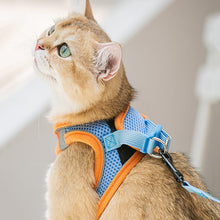 Load image into Gallery viewer, HiFuzzyPet Summer Vest Style Cat Harness and Leash Set