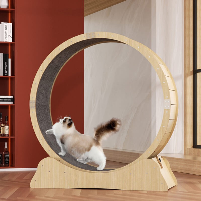 Hifuzzypet Cat Exercise Wheel With Lock Cat Treadmill