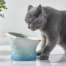 Load image into Gallery viewer, Cute Fish Shape Ceramic Raised Cat Bowls
