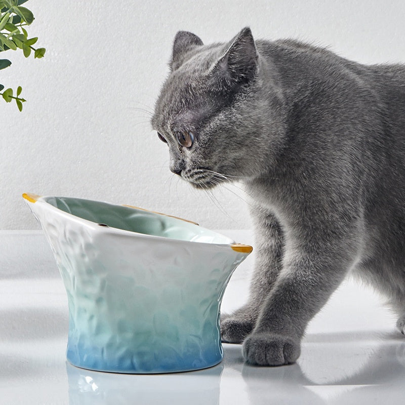 Cute Fish Shape Ceramic Raised Cat Bowls