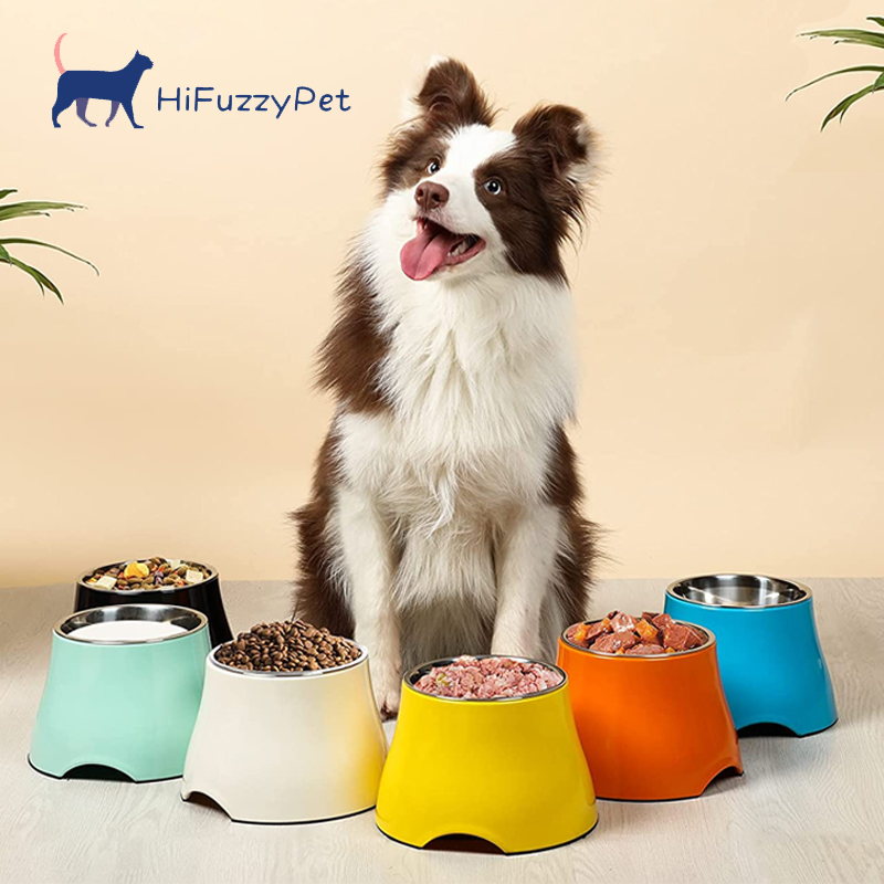 elevated dog bowl with all kinds of color