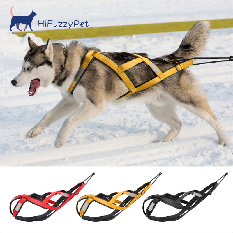 perfect- fit dog sledding harness 