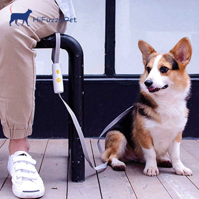 hand free leash for dogs