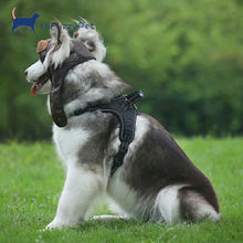 Load image into Gallery viewer, HiFuzzyPet Warm Dog Hat, Pet Winter Pilot Hat
