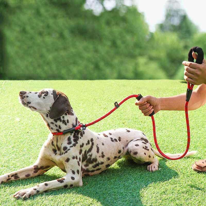 HiFuzzyPet Reflective Dog Slip Leashes with Handle