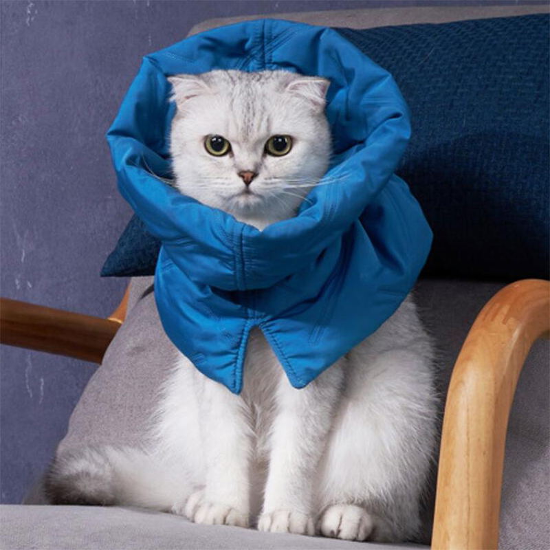 lake blue soft dog cat cone collar