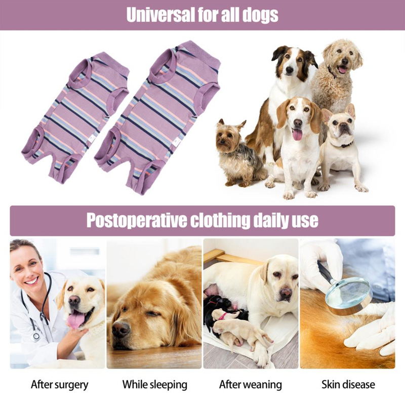 dog surgical recovery suit daily use