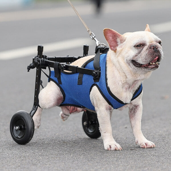 HiFuzzyPet Disabled Dog Wheelchair For Small Pet