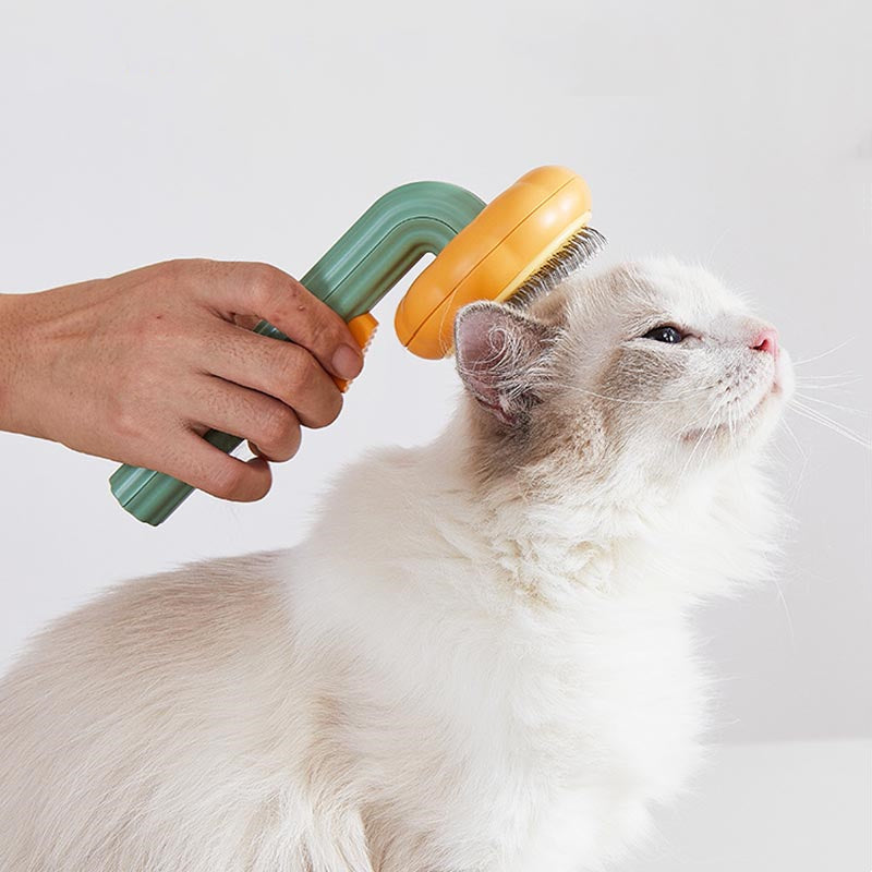 HiFuzzyPet Cute Pumpkin Shape Pet Self-Cleaning Brush