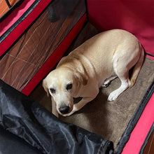 Load image into Gallery viewer, HiFuzzyPet Folding Comfortable Dog Travel Crate
