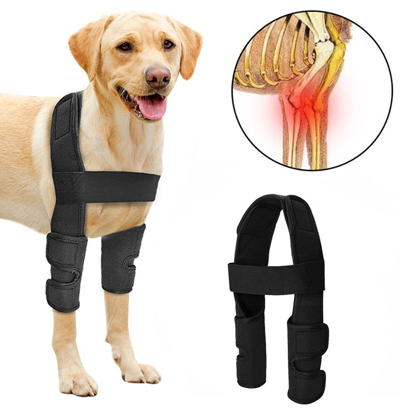 dog elbow padsto to speed wound heal