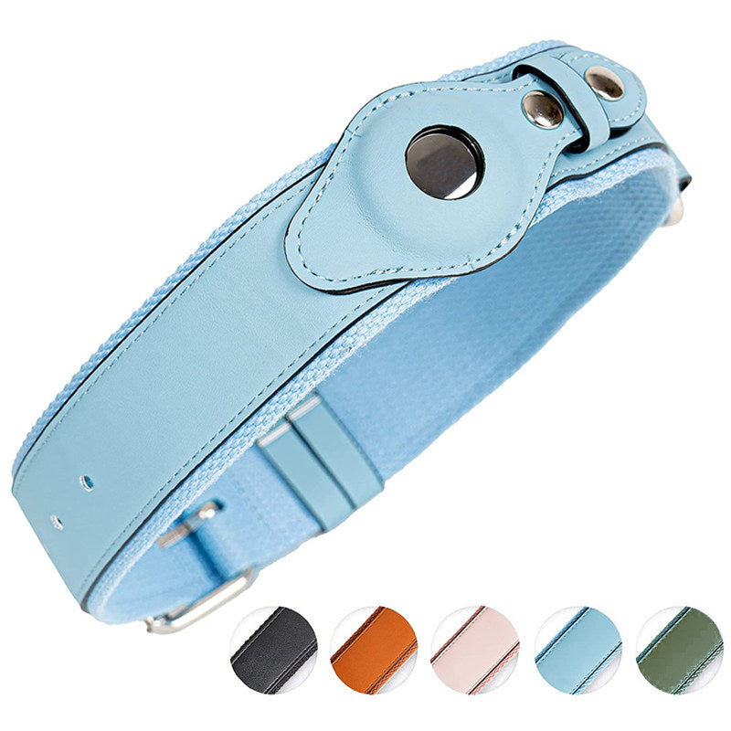blue AirTag dog collar