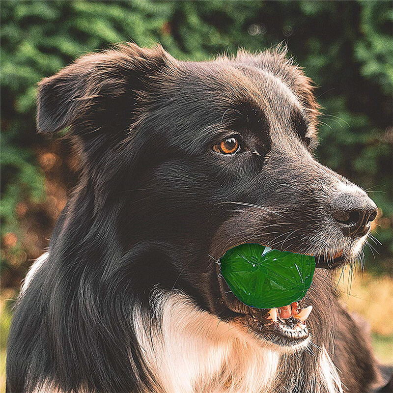greem light-up dog ball toy