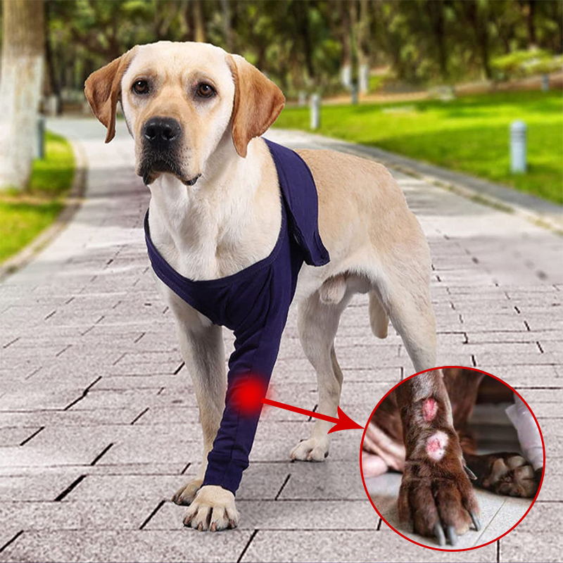 dog front leg brace sleeve for wound protection