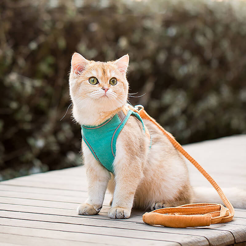HiFuzzyPet Escape-proof Cat Harness and Leash for Walking