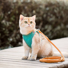 Load image into Gallery viewer, HiFuzzyPet Escape-proof Cat Harness and Leash for Walking
