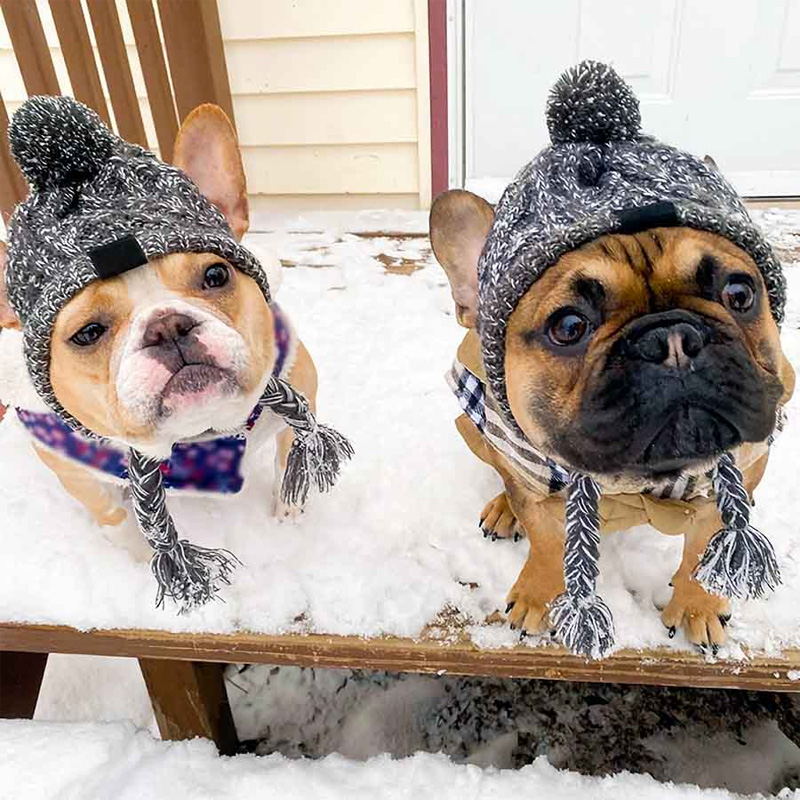 winter dog hat by machine washed