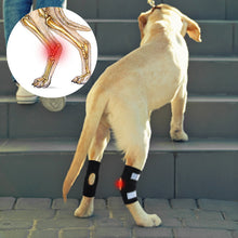 Load image into Gallery viewer, dog rear leg hock brace
