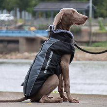 Load image into Gallery viewer, gery reflective dog coat jacket 
