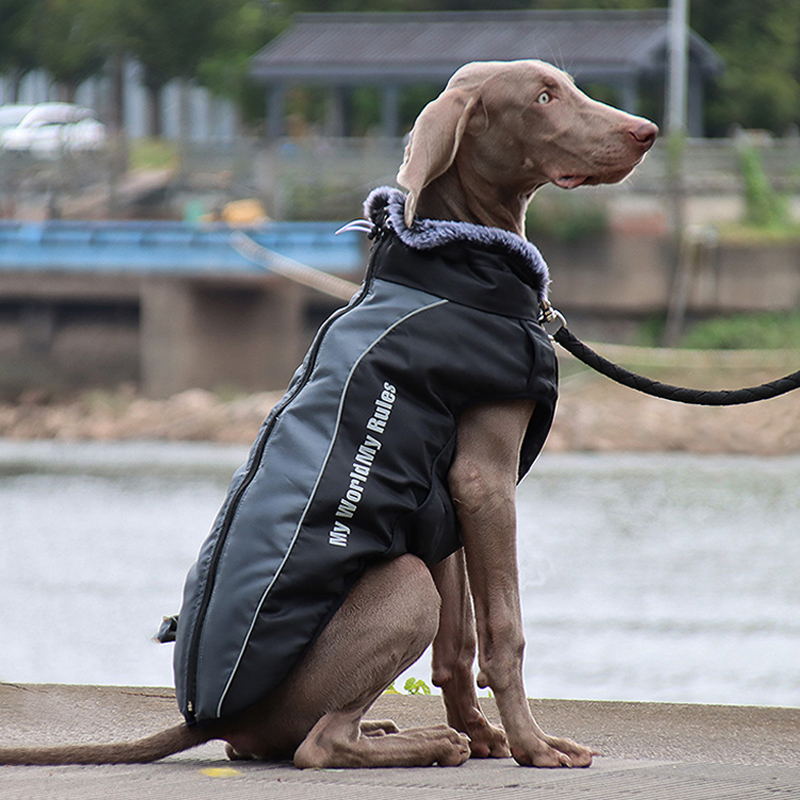 gery reflective dog coat jacket 