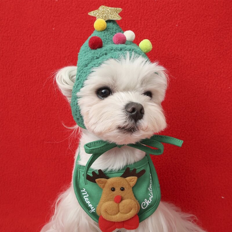 HiFuzzyPet Dog Christmas Hat and Bib Set