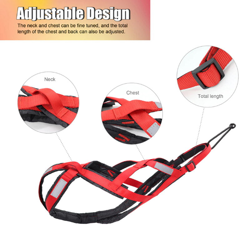 adjustable  dog sledding harness