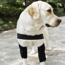 Load image into Gallery viewer, dog elbow pads provide superior support
