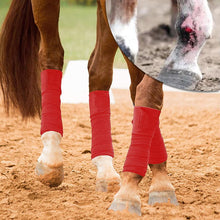 Load image into Gallery viewer, red horse polo leg wraps for protect
