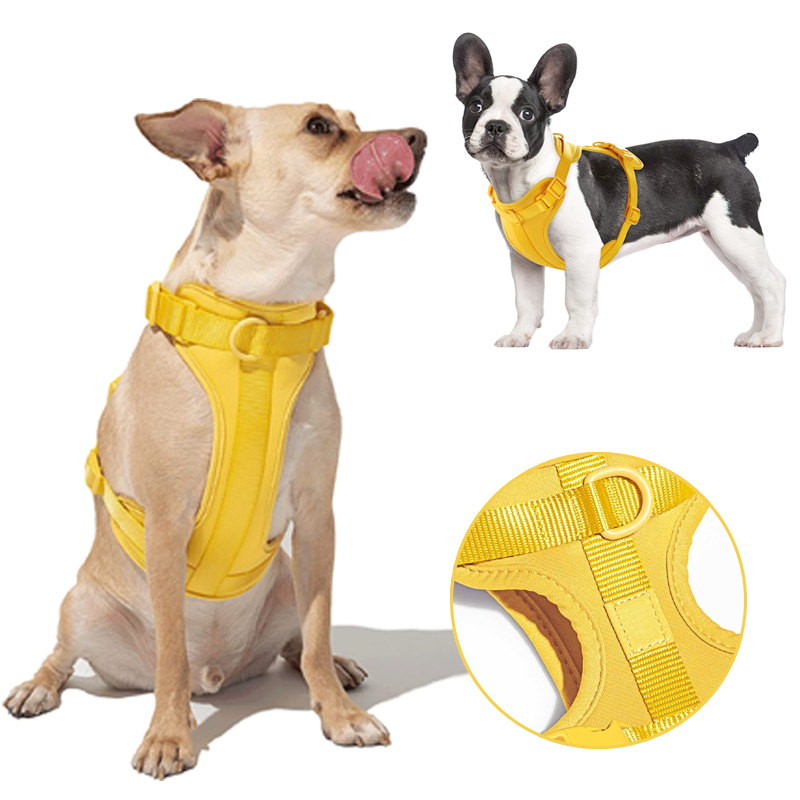 yellow dog vest harnesses 