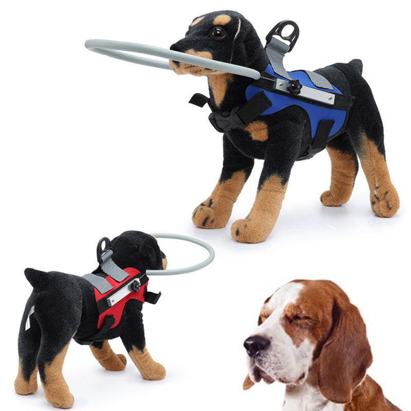 blind dog halo prevent painful bumps
